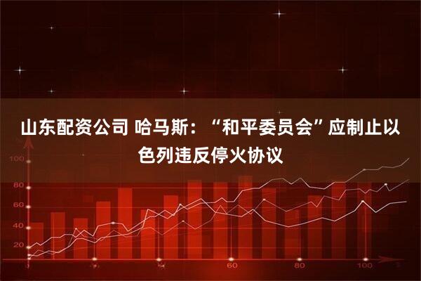 山东配资公司 哈马斯：“和平委员会”应制止以色列违反停火协议